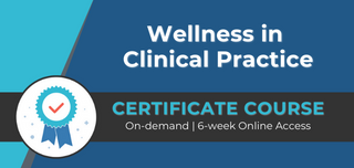 NWI Wellness in Clinical Practice